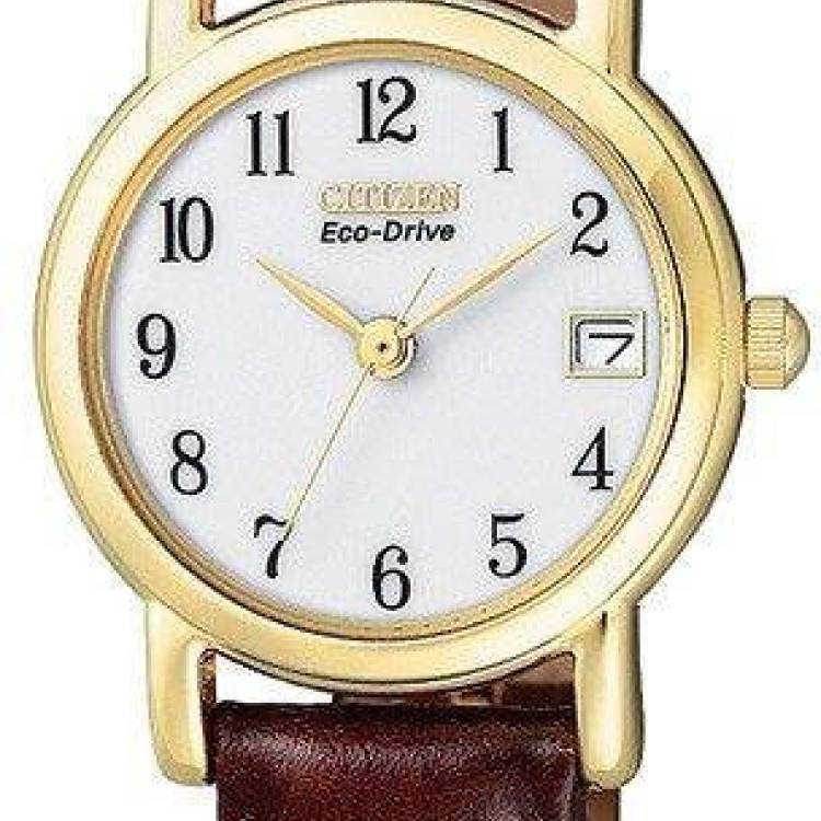 Citizen Watch Strap Eco Drive Ladies
