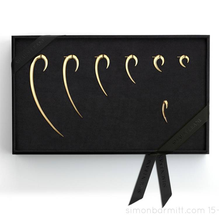 Shaun Leane Iconic Hook 18ct Yellow Gold Plated Sterling Silver Earring Box Set - Silver