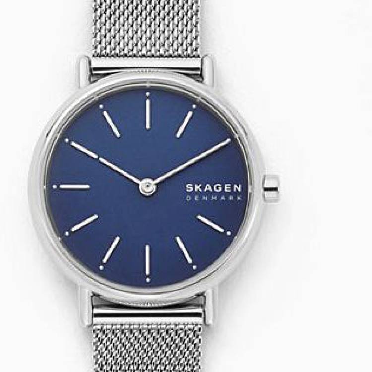 Skagen Watch Signatur Steel Mesh