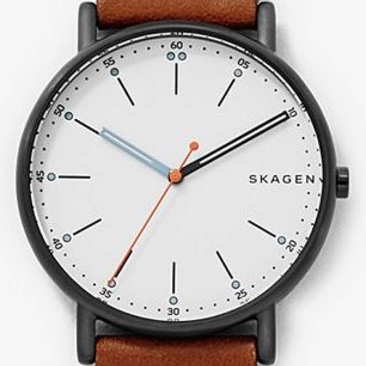 Skagen Watch Signatur Mens
