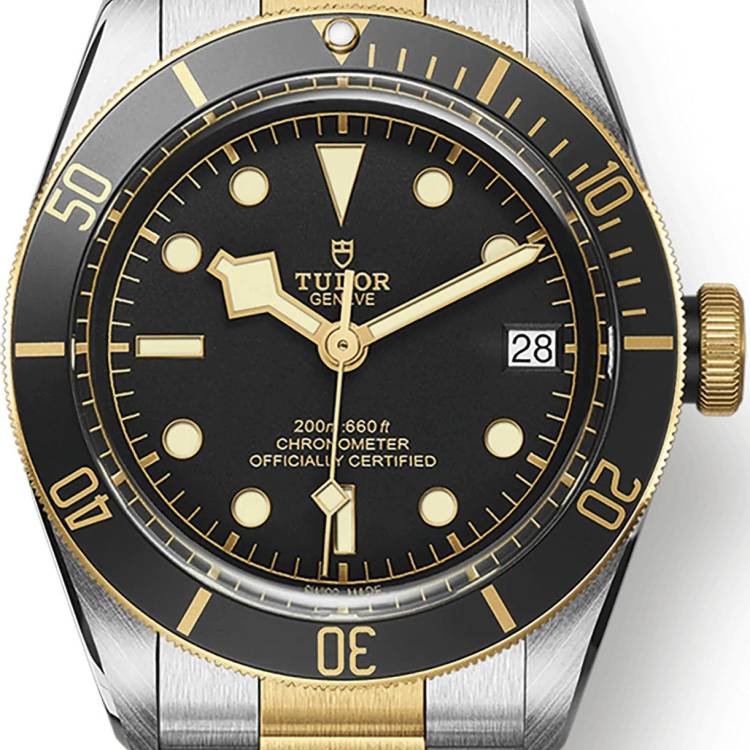 TUDOR Watch Black Bay S&G