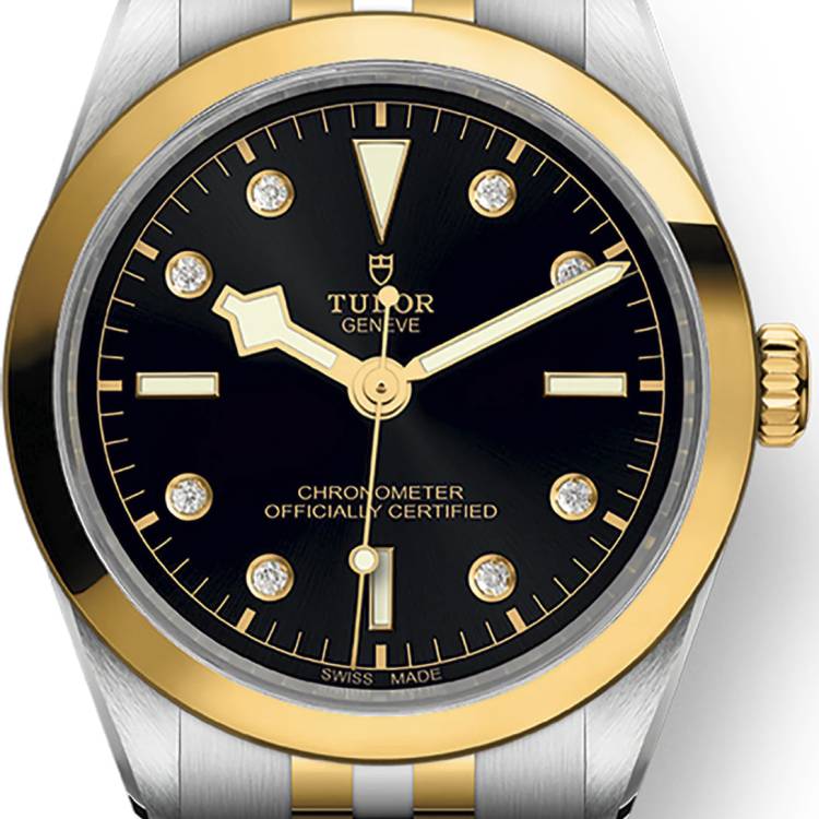 TUDOR Watch Black Bay 36 S&G
