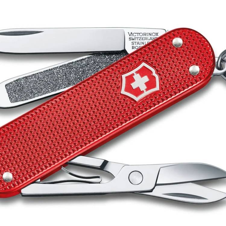 Victorinox Small Pocket Knife Classic SD Alox Sweet Berry