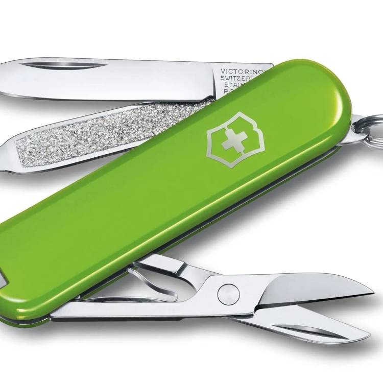 Victorinox Small Pocket Knife Classic SD Smashed Advocado