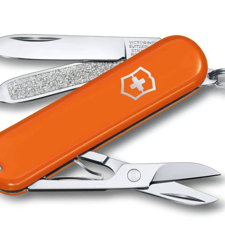 Victorinox Small Pocket Knife Classic SD Mango Tango